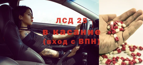 шишки Нязепетровск