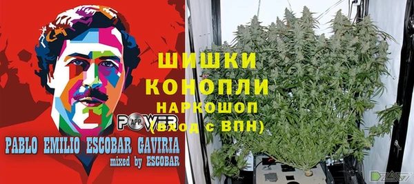 a pvp Няндома