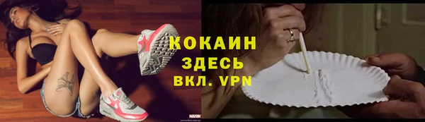 шишки Нязепетровск