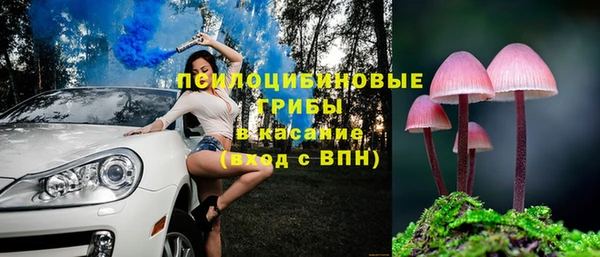 a pvp Няндома
