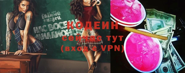 a pvp Няндома